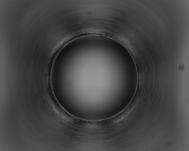 X0000091470349200708301858