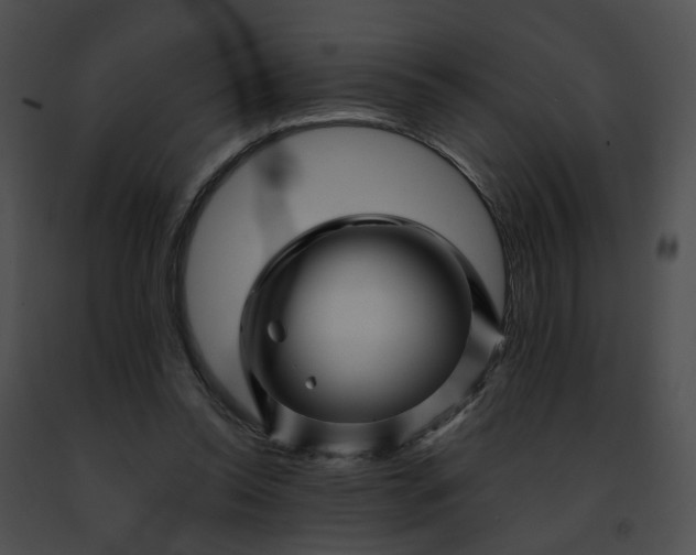 X0000091470350200708301858