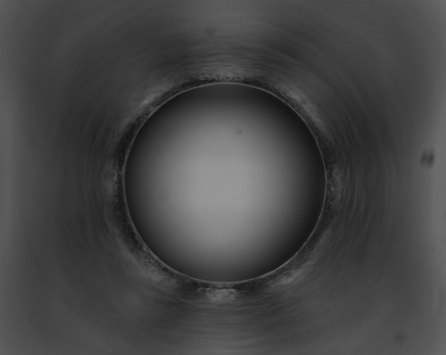 X0000091470355200708301858