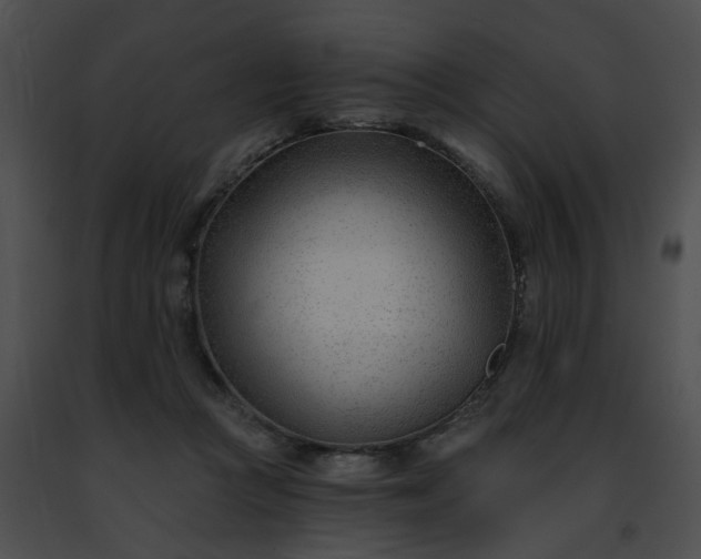 X0000091470361200708301858