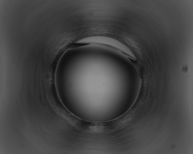 X0000091470362200708301858