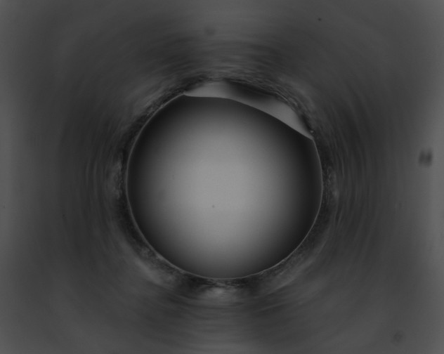 X0000091470364200708301858