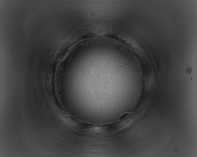 X0000091470365200708301858