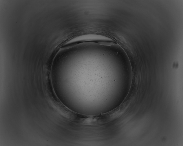 X0000091470366200708301858