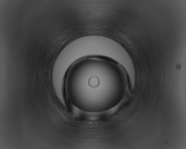 X0000091470368200708301858