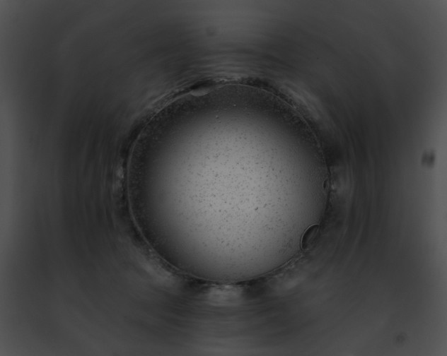 X0000091470369200708301858