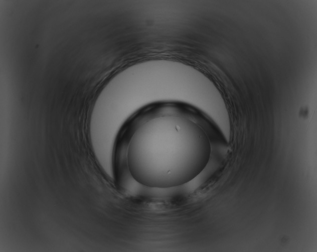 X0000091470372200708301858