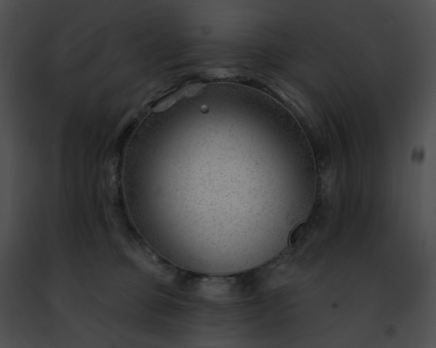 X0000091470373200708301858