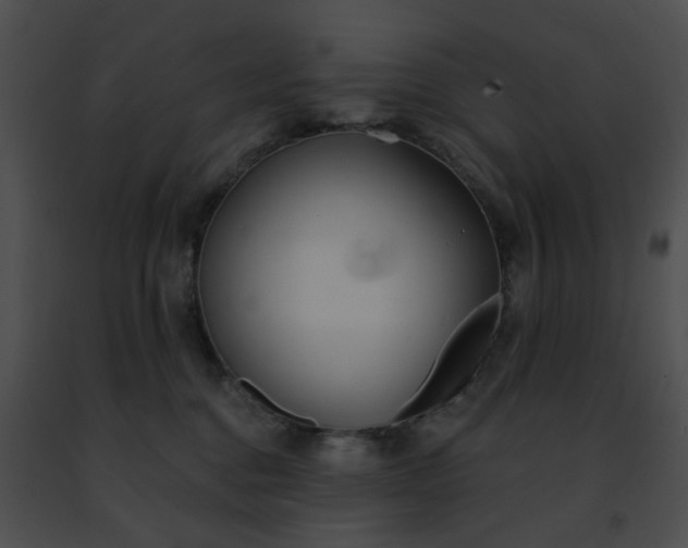 X0000091470376200708301858