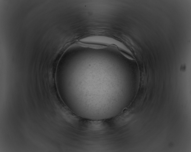 X0000091470377200708301858