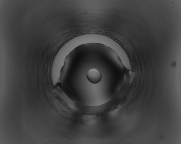 X0000091470380200708301858