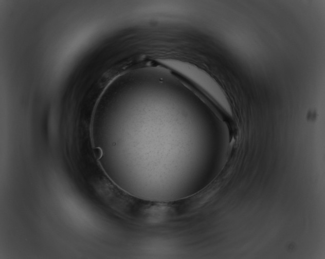 X0000091470383200708301858