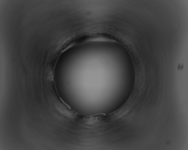 X0000091470384200708301858