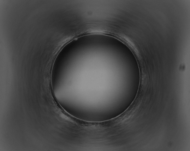 X0000091470385200708301858