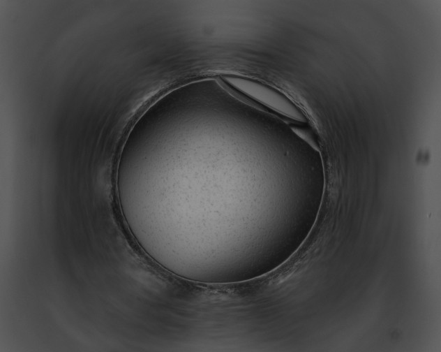 X0000091470386200708301858