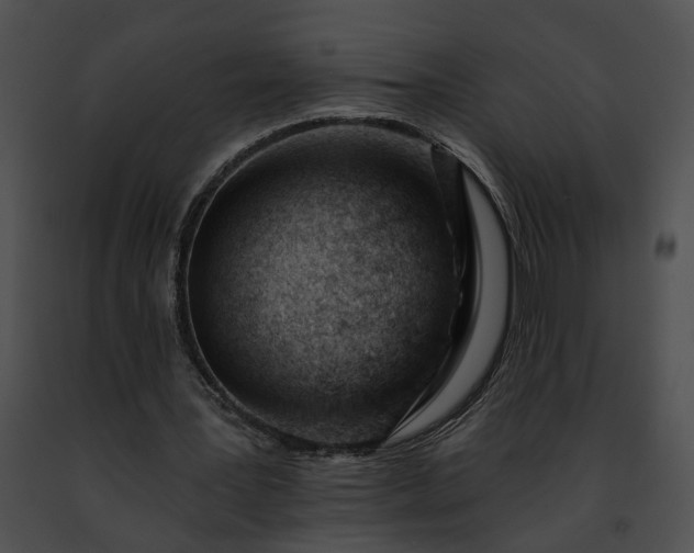 X0000091470387200708301858