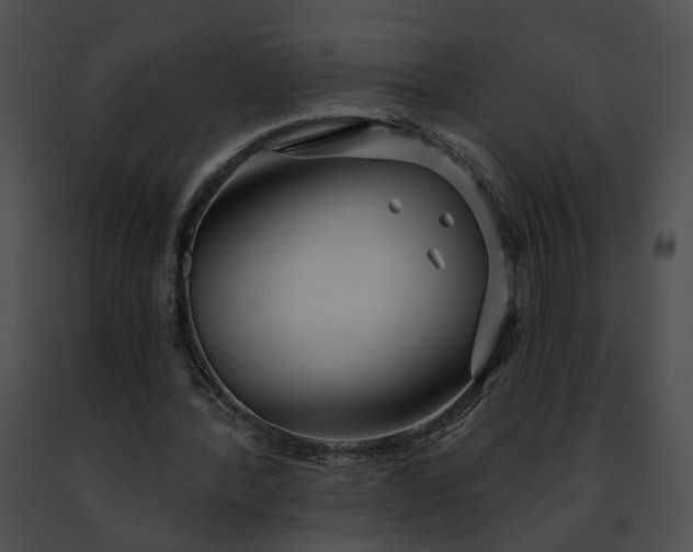 X0000091470388200708301858