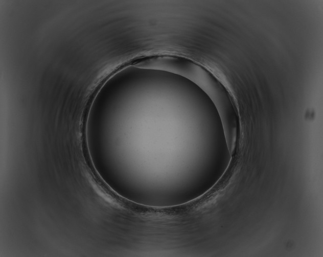 X0000091470389200708301858