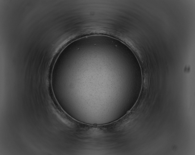 X0000091470390200708301858