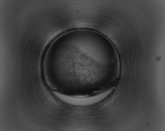 X0000091470391200708301857