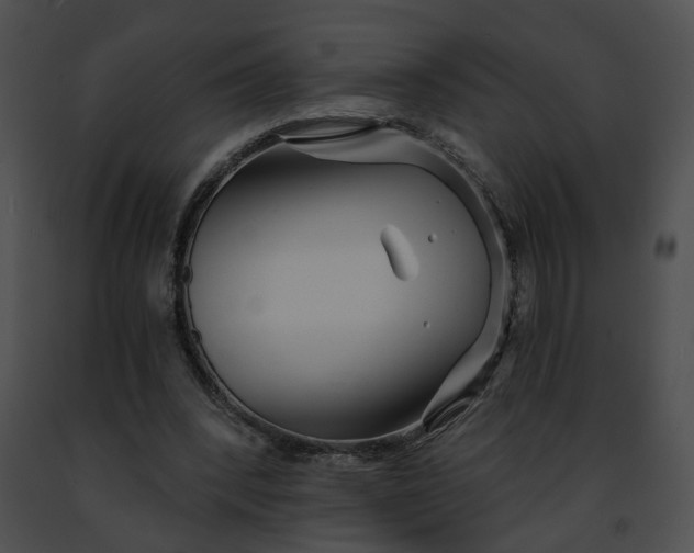 X0000091470392200708301857