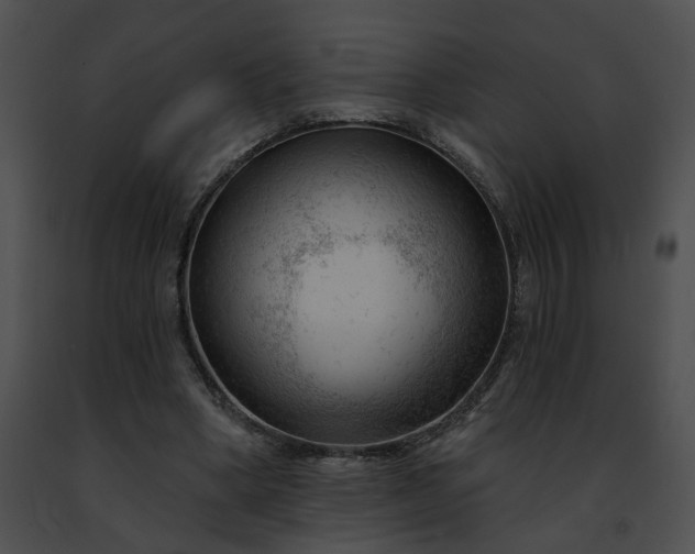 X0000091470394200708301857