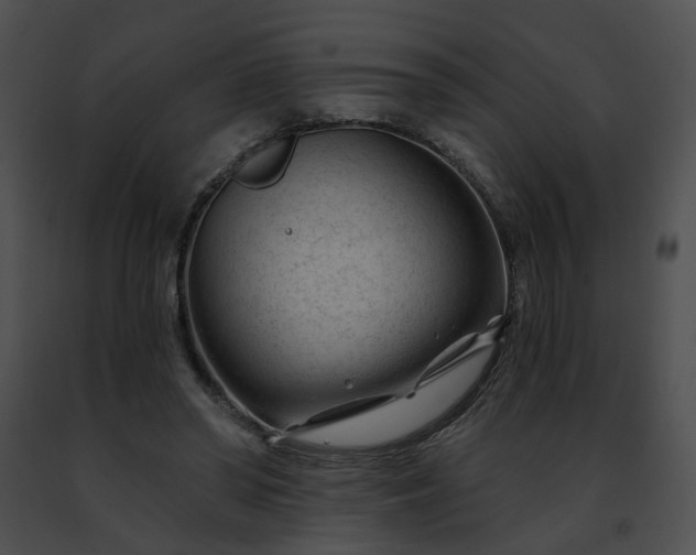 X0000091470398200708301857