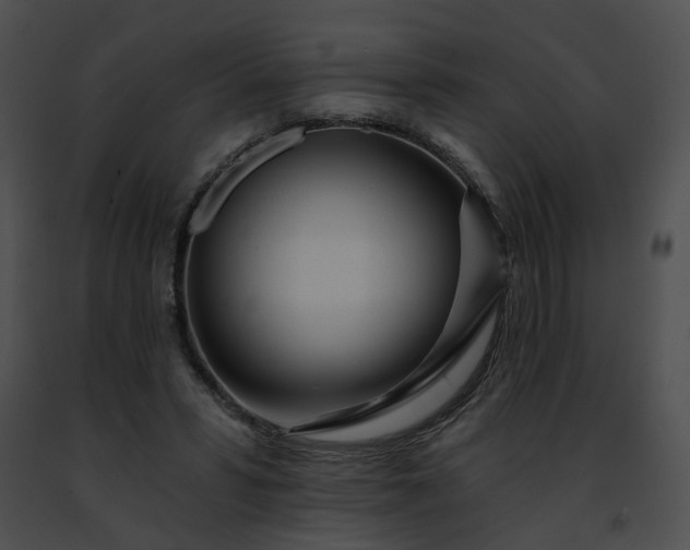 X0000091470399200708301857