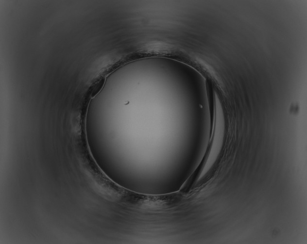 X0000091470403200708301857