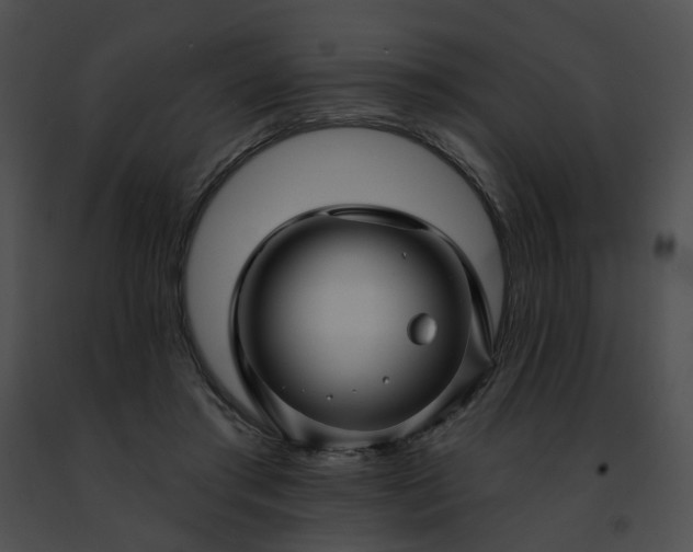 X0000091470405200708301857