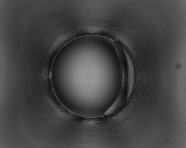 X0000091470407200708301857