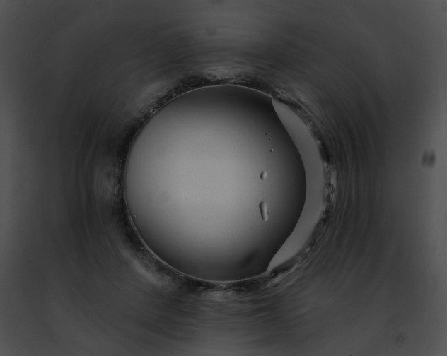 X0000091470408200708301857