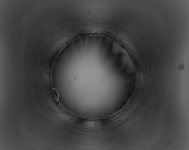 X0000091470415200708301857