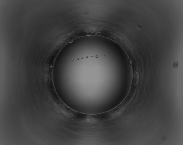 X0000091470416200708301857