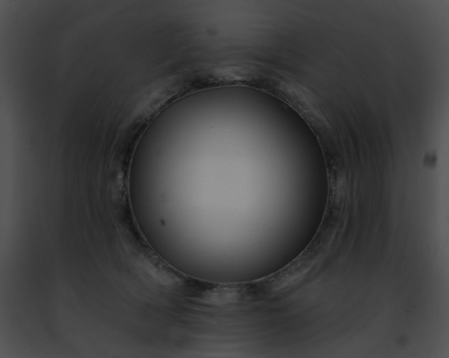 X0000091470418200708301857