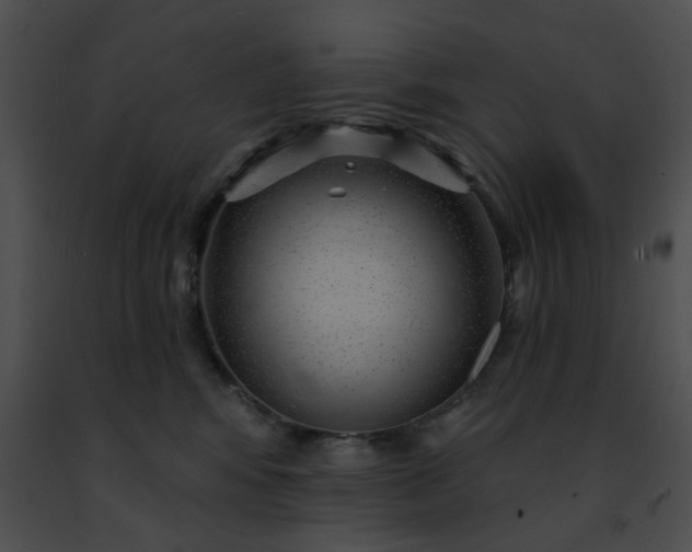 X0000091470424200708301857