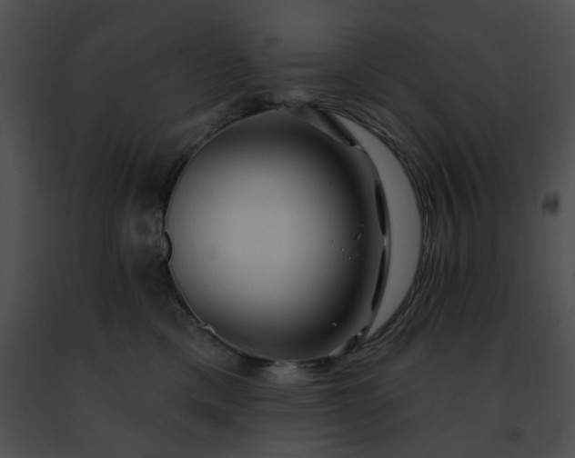 X0000091470425200708301857