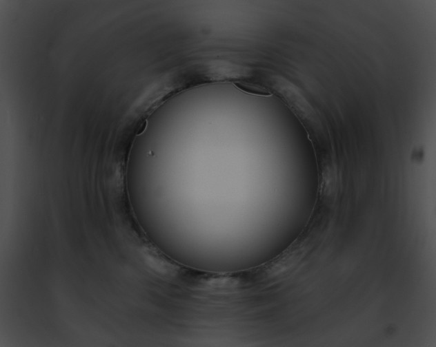 X0000091470426200708301857