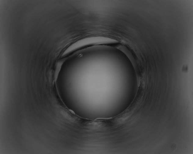 X0000091470428200708301857