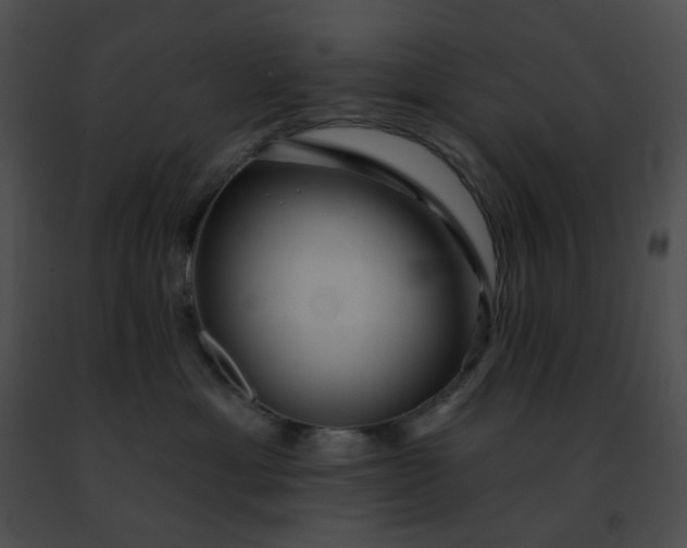 X0000091470429200708301857