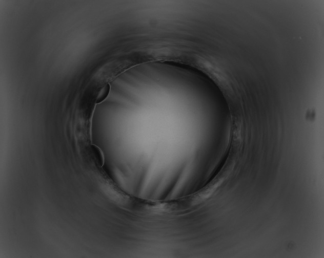 X0000091470430200708301857