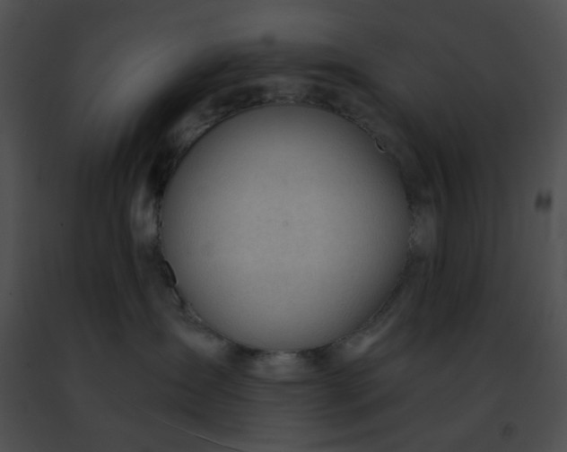 X0000091470431200708301857