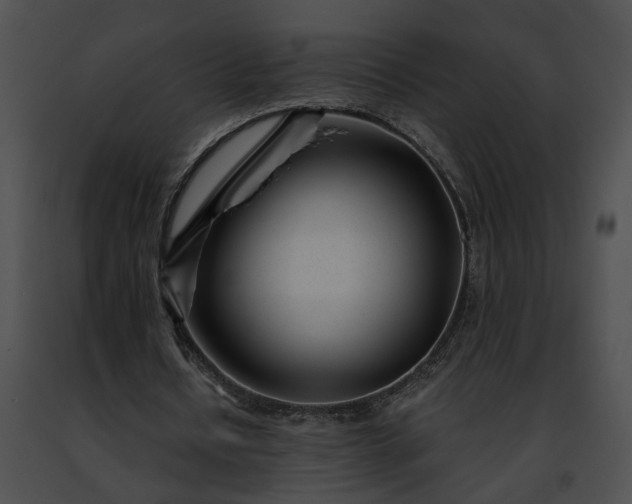 X0000091470434200708301856