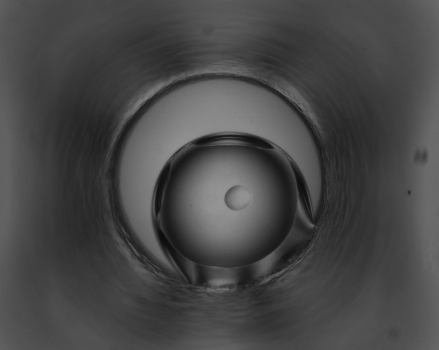 X0000091470436200708301856