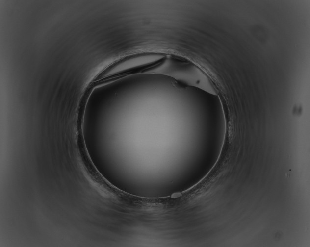 X0000091470438200708301856