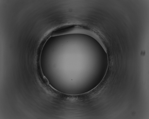 X0000091470440200708301856