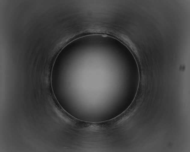 X0000091470441200708301856