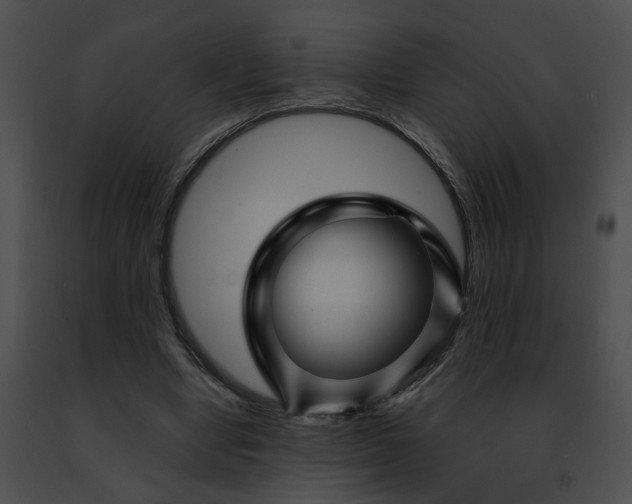 X0000091470442200708301856