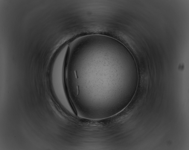 X0000091470443200708301857