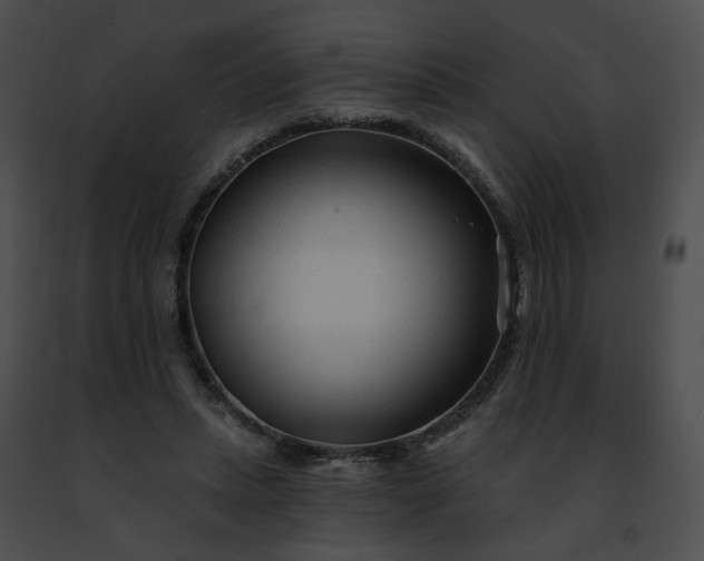 X0000091470447200708301857